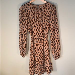 Adorable leopard print dress. A new day .XS